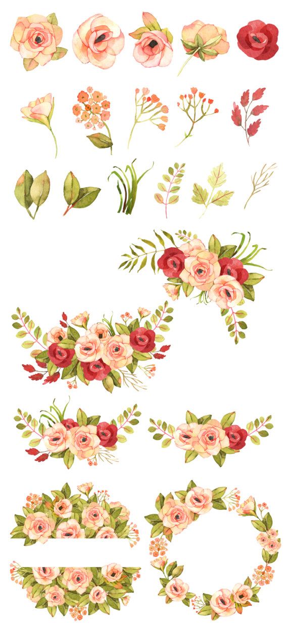 Flower clipart Floral clipart Roses watercolor clipart Roses