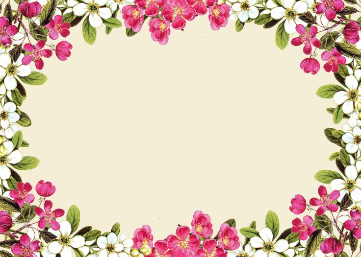 Free Free Printable Floral Borders And Frames, Download Free