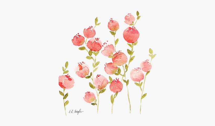 floral clipart coral