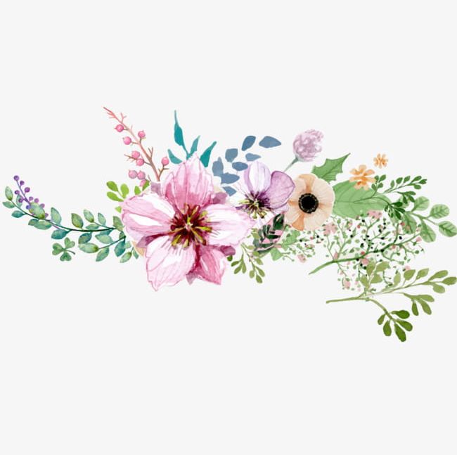 Hand Painted Watercolor Flower Decoration Pattern PNG