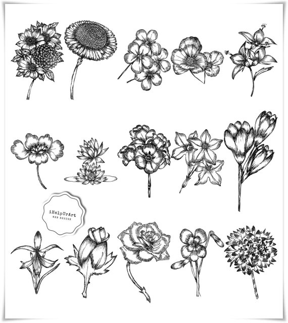 Modern Flowers Clipart