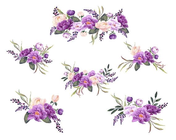 Purple Peonies Hand Painted Floral Clip Art, Purple and