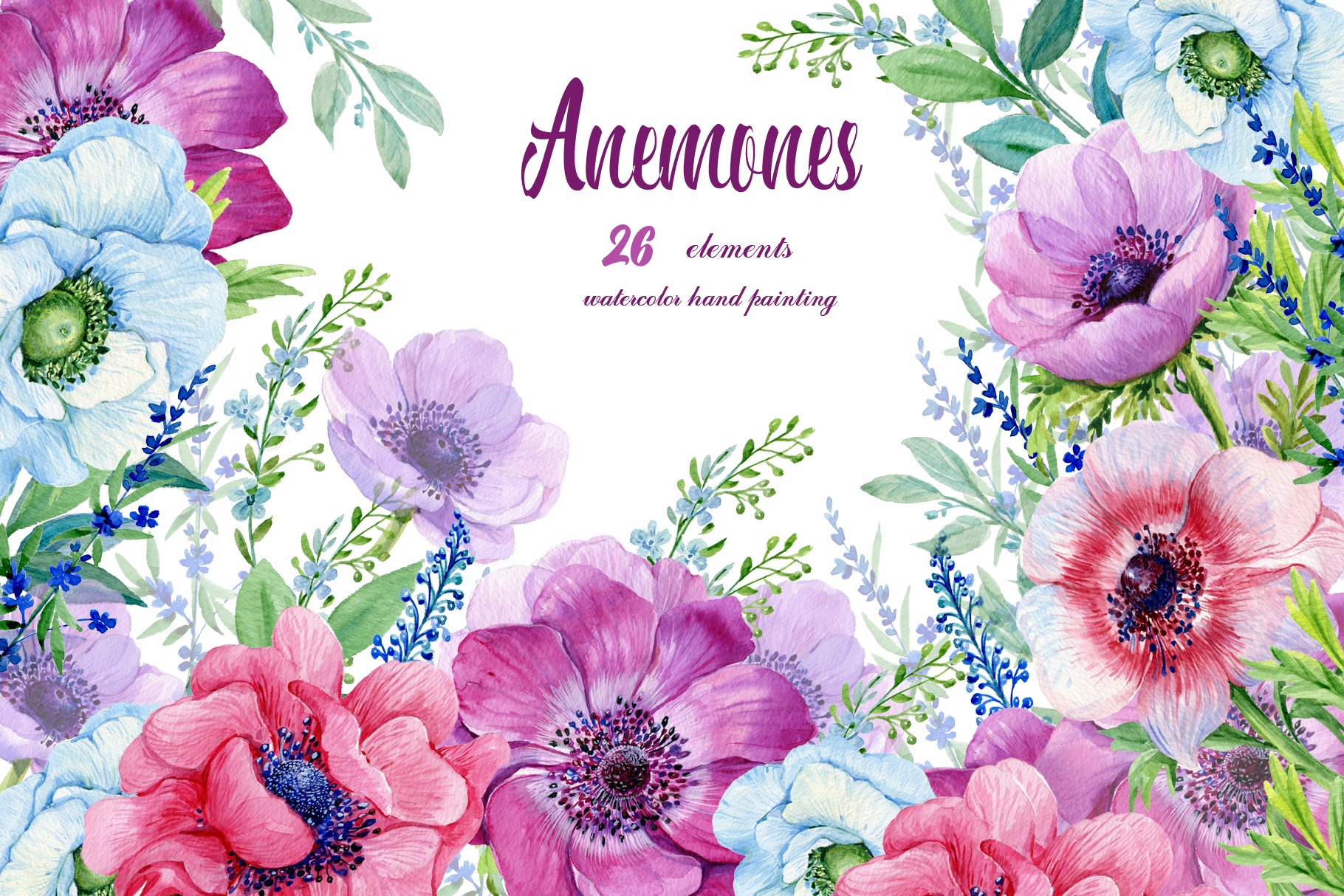 Anemones watercolor flowers.