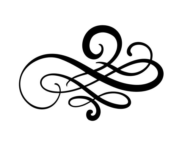 Vector floral calligraphy element flourish, divider for page
