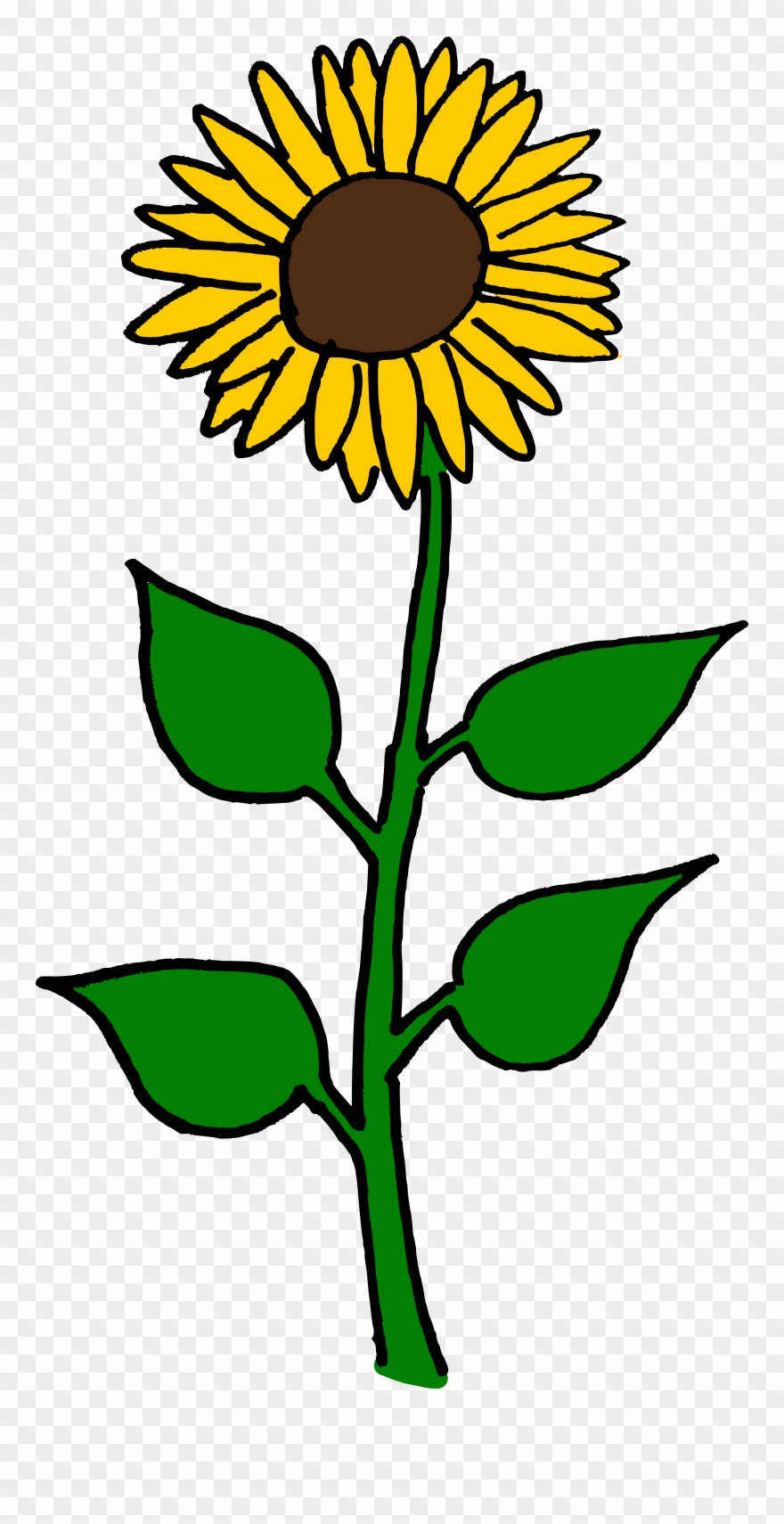 Flower clipart sunflower.