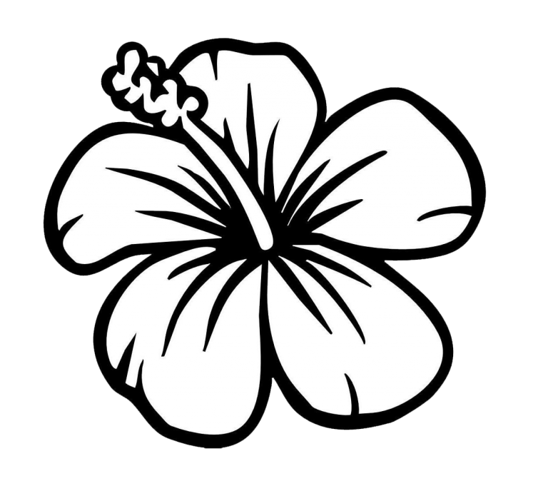 Flower clipart black and white cute pictures on Cliparts Pub 2020! 🔝