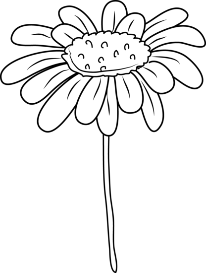 Free daisy flower.
