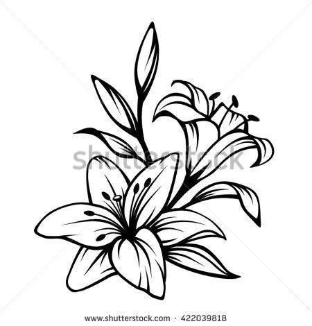 Daylilyclipart lily flower.