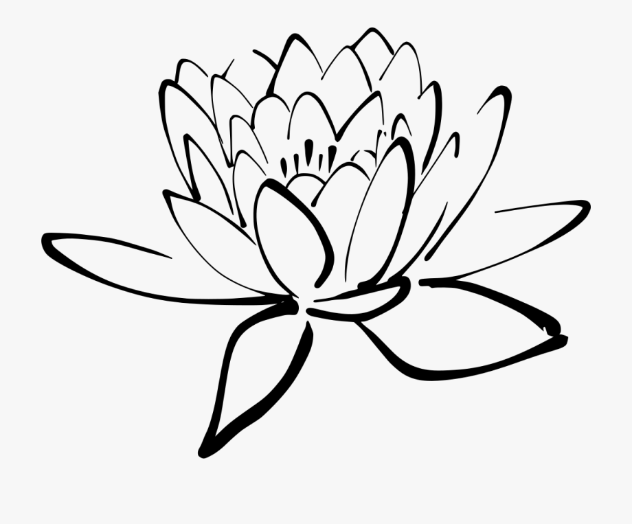 Tropical Drawing Lotus Flower