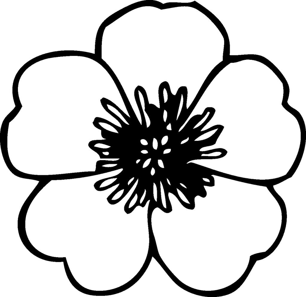 Black And White Of Flowers Clipart Printable