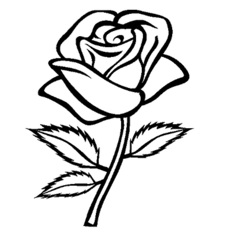 Rose Flower Png Black And White