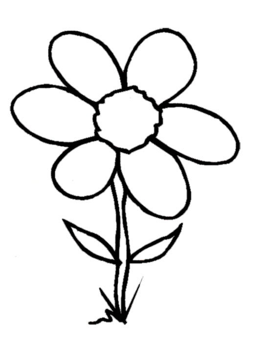 Single flower clipart black and white clipart images gallery