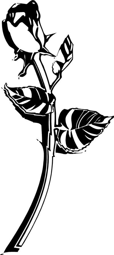 Free Rose Black And White Clipart, Download Free Clip Art