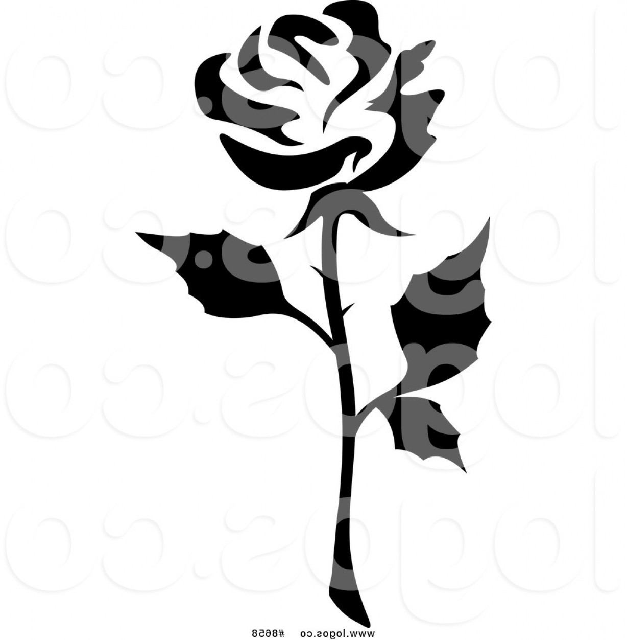 Single Black Rose Clip Art Images