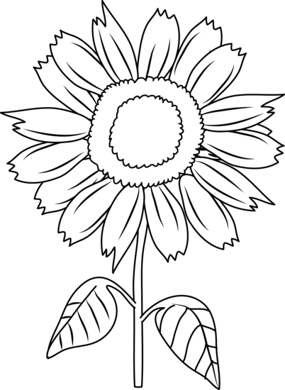 Sunflower black and white sunflower clipart black and white