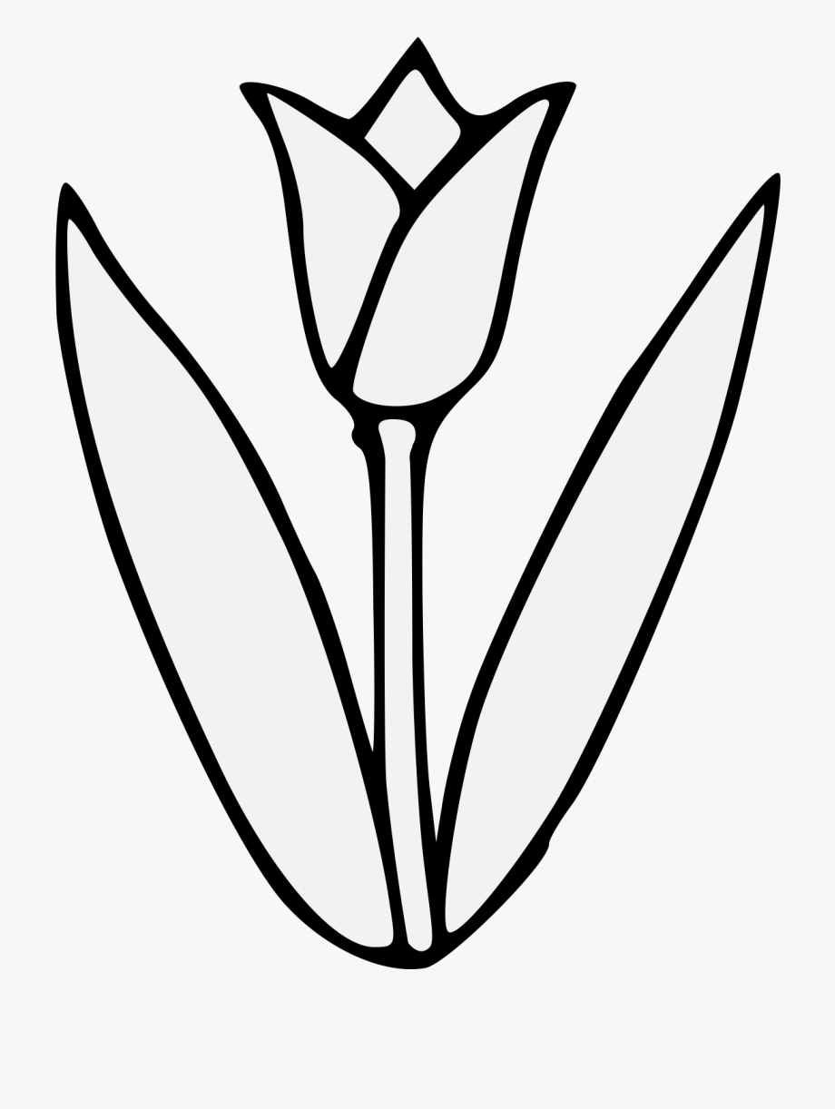 Thumb image tulip.