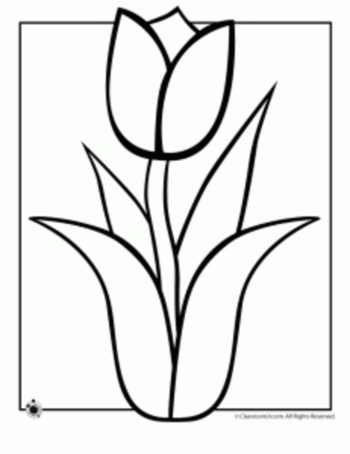 Free Tulip Black And White Clipart, Download Free Clip Art