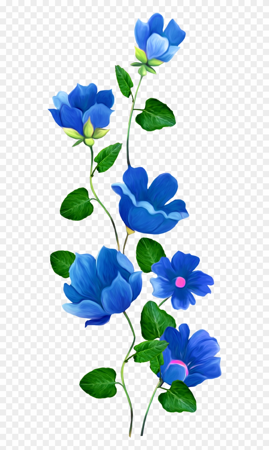 flower clipart border blue
