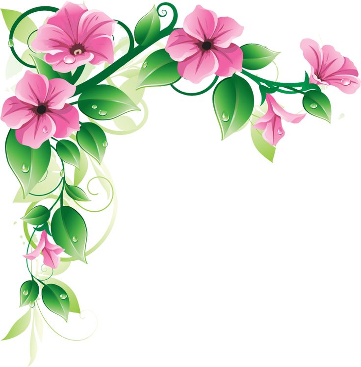Free Flower Borders Free, Download Free Clip Art, Free Clip