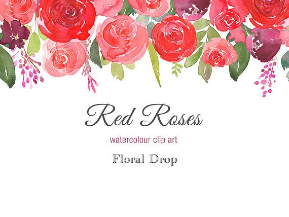 Hand Painted Floral Watercolour Clipart