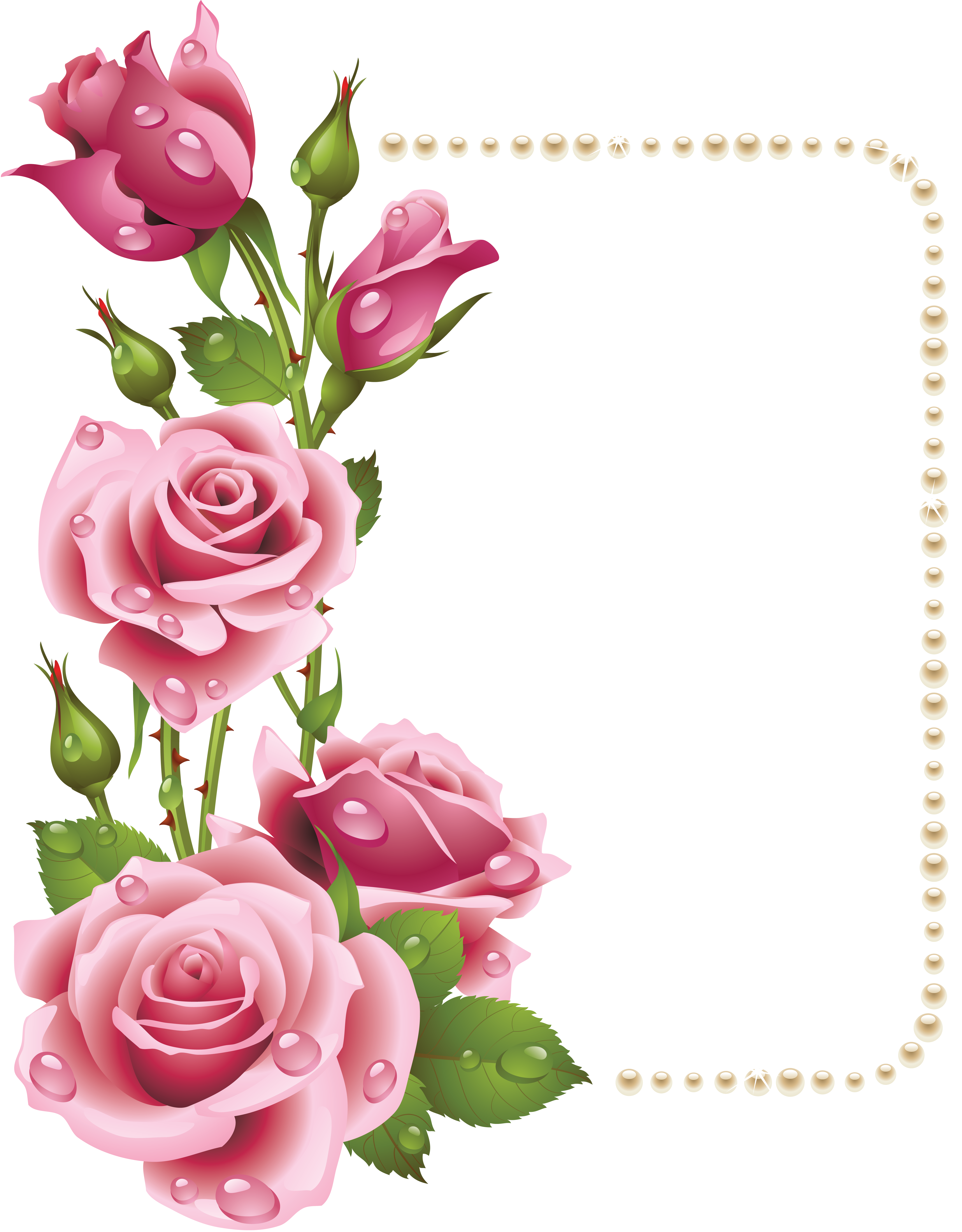 Rose clipart borders, Rose borders Transparent FREE for