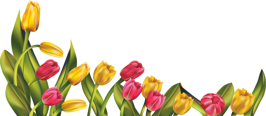 Free Spring Flowers Borders, Download Free Clip Art, Free