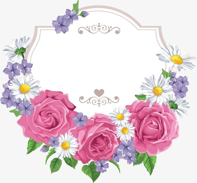 Flower Border, Flower Vector, Border Vector, Flowers PNG and