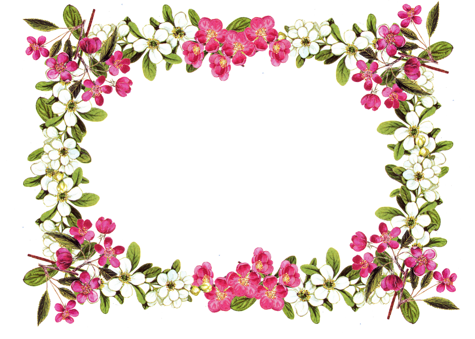 Free digital flower frame png in vintage design