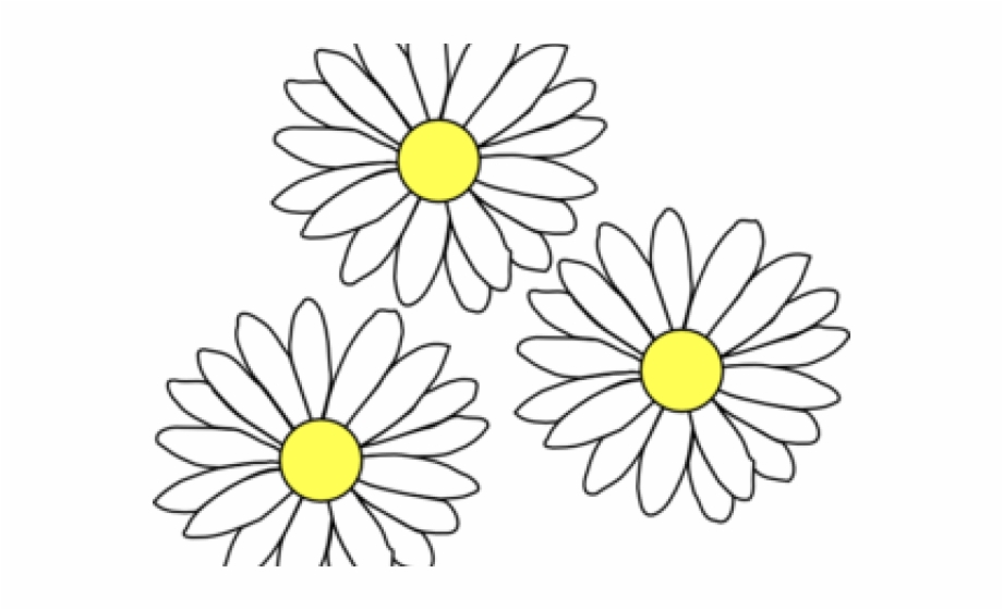 Daisy flower clipart.