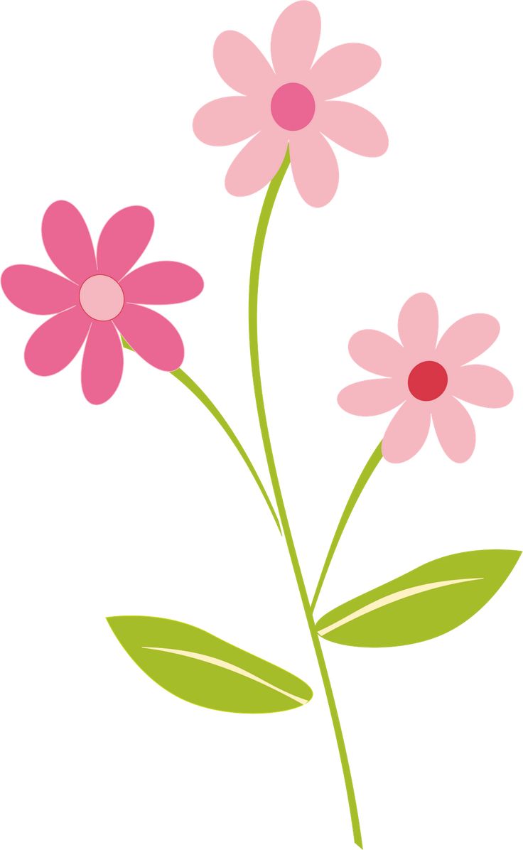 Cute flower clipart png