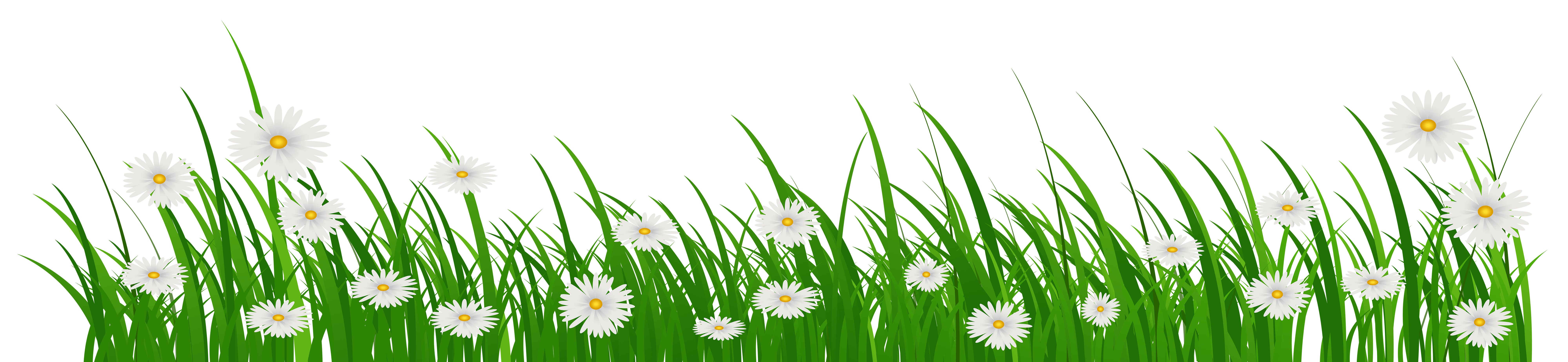 Grass with Flowers PNG Clip Art Image