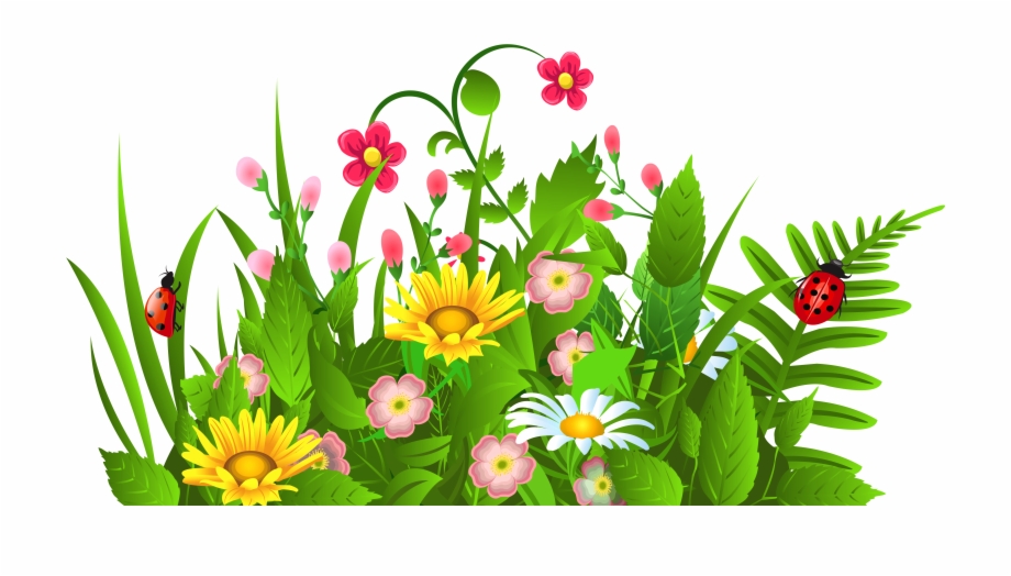 Cute Grass And Flowers Png Clipartu
