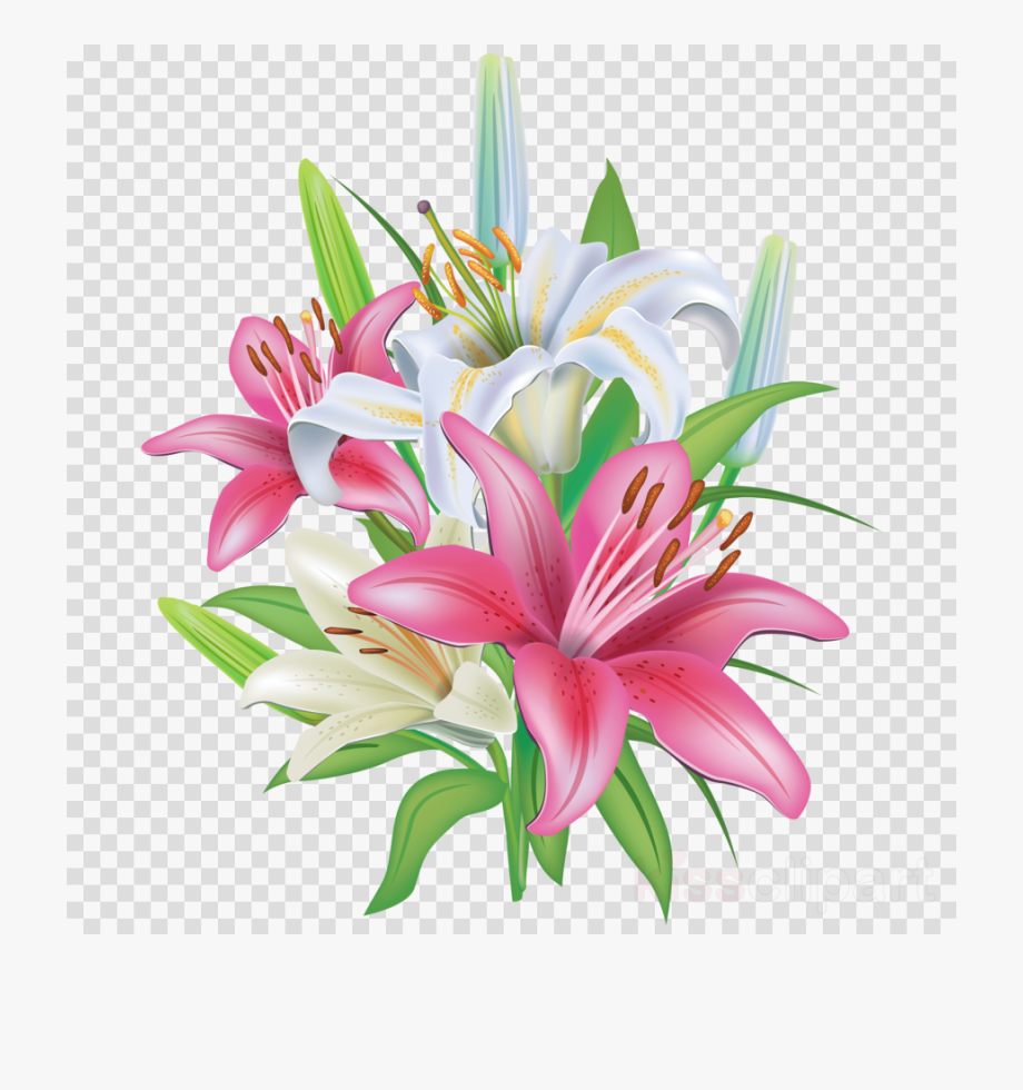 Flower Clipart Png Lily