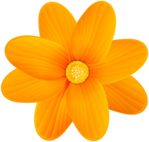 Orange flower png.