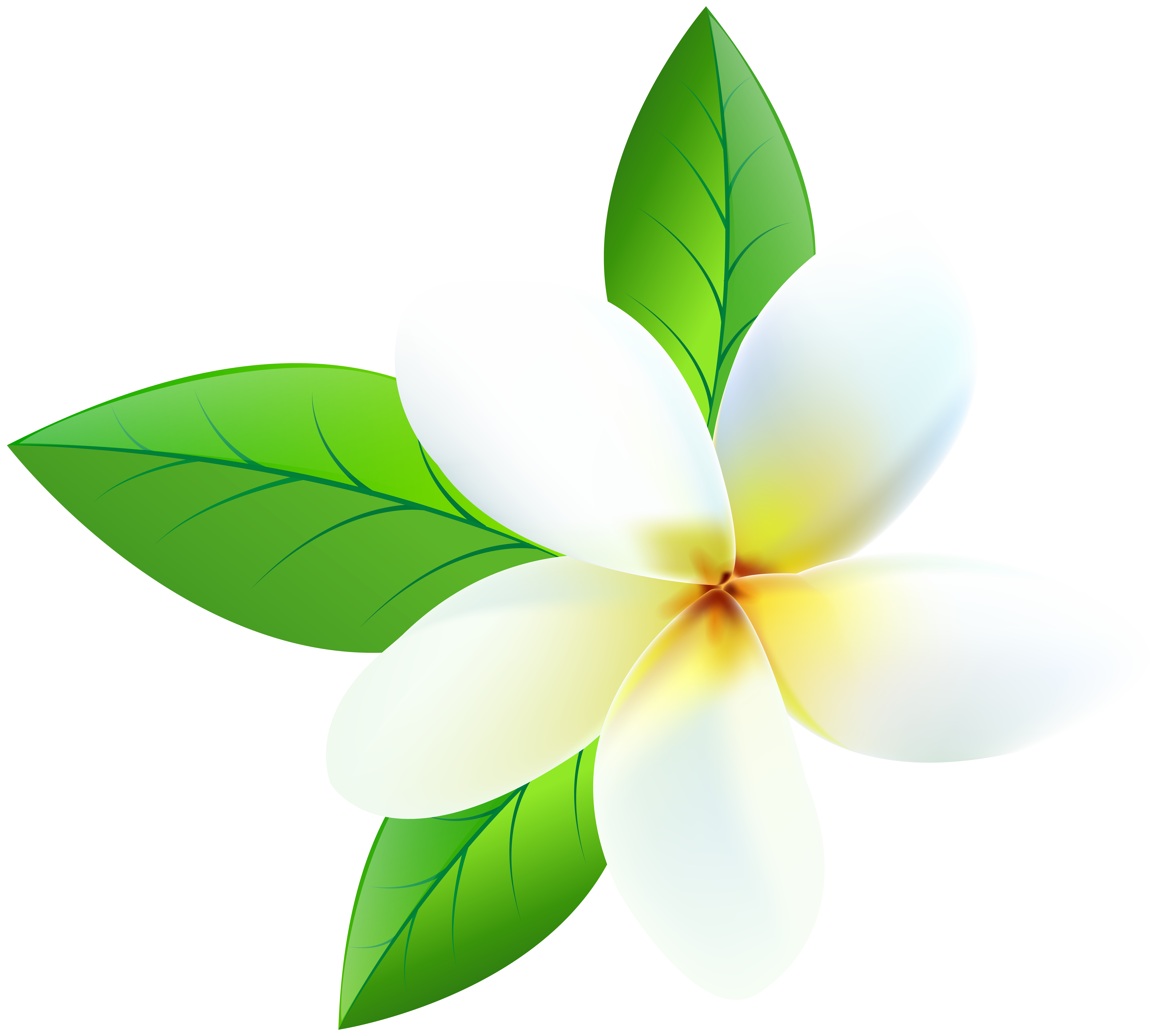 Flower Clipart Png Plumeria And Other Clipart Images On Cliparts Pub ...