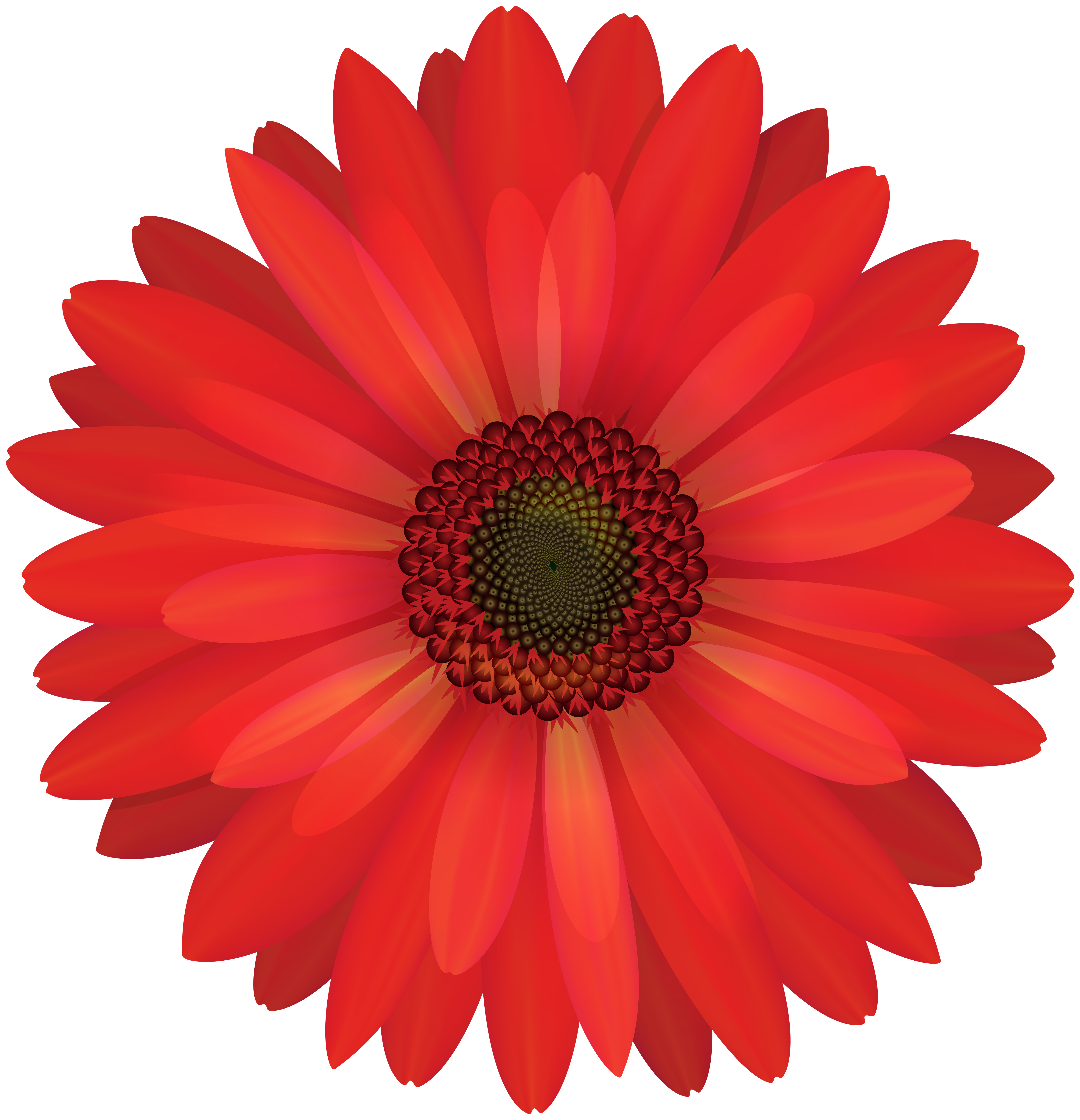 Gerbera Red Flower PNG Clip Art