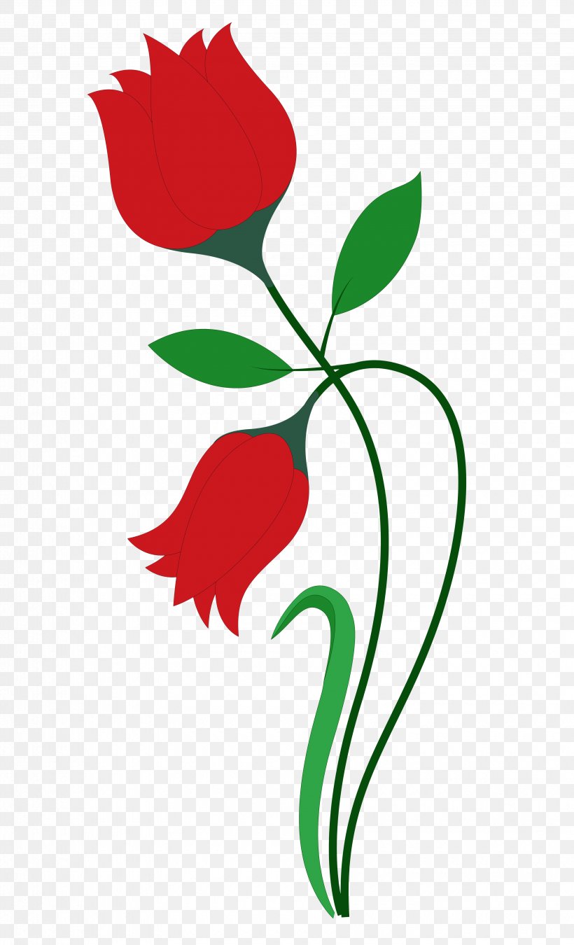 Flower Rose, PNG,