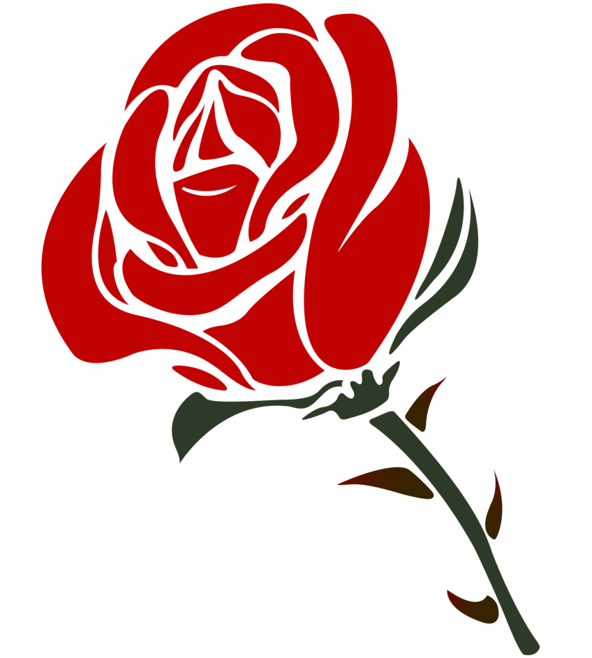Rose png flower.