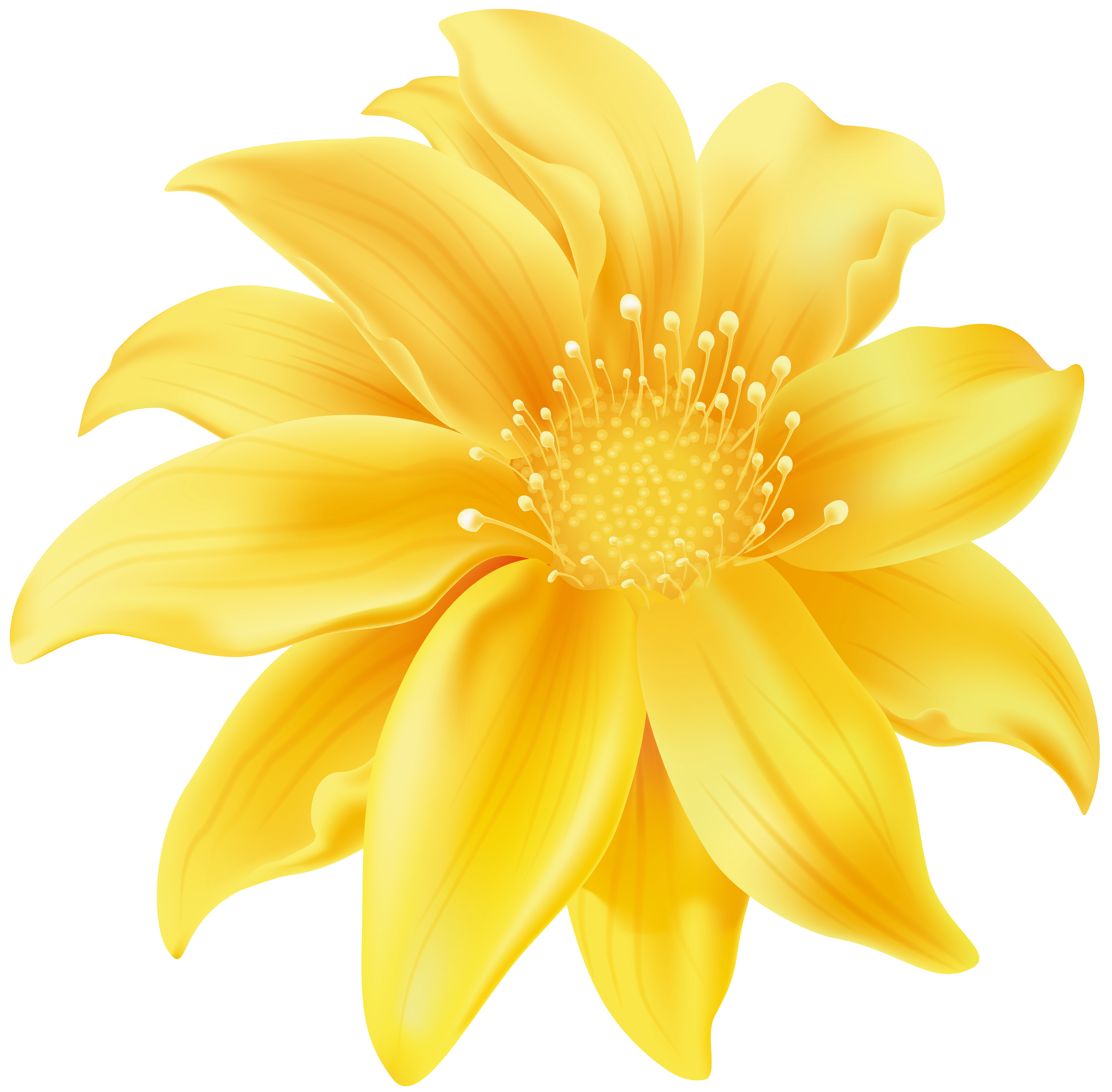 Yellow flower png.