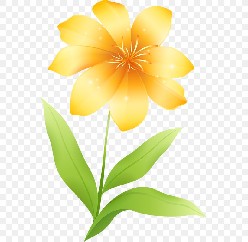 Flower Yellow Clip Art, PNG,