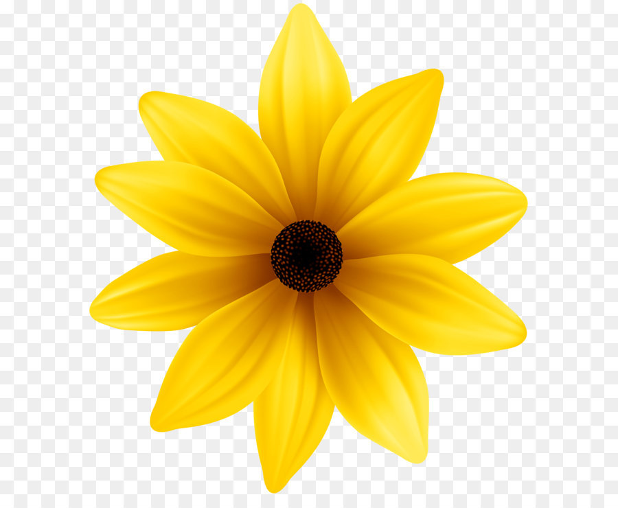 flower clipart png yellow