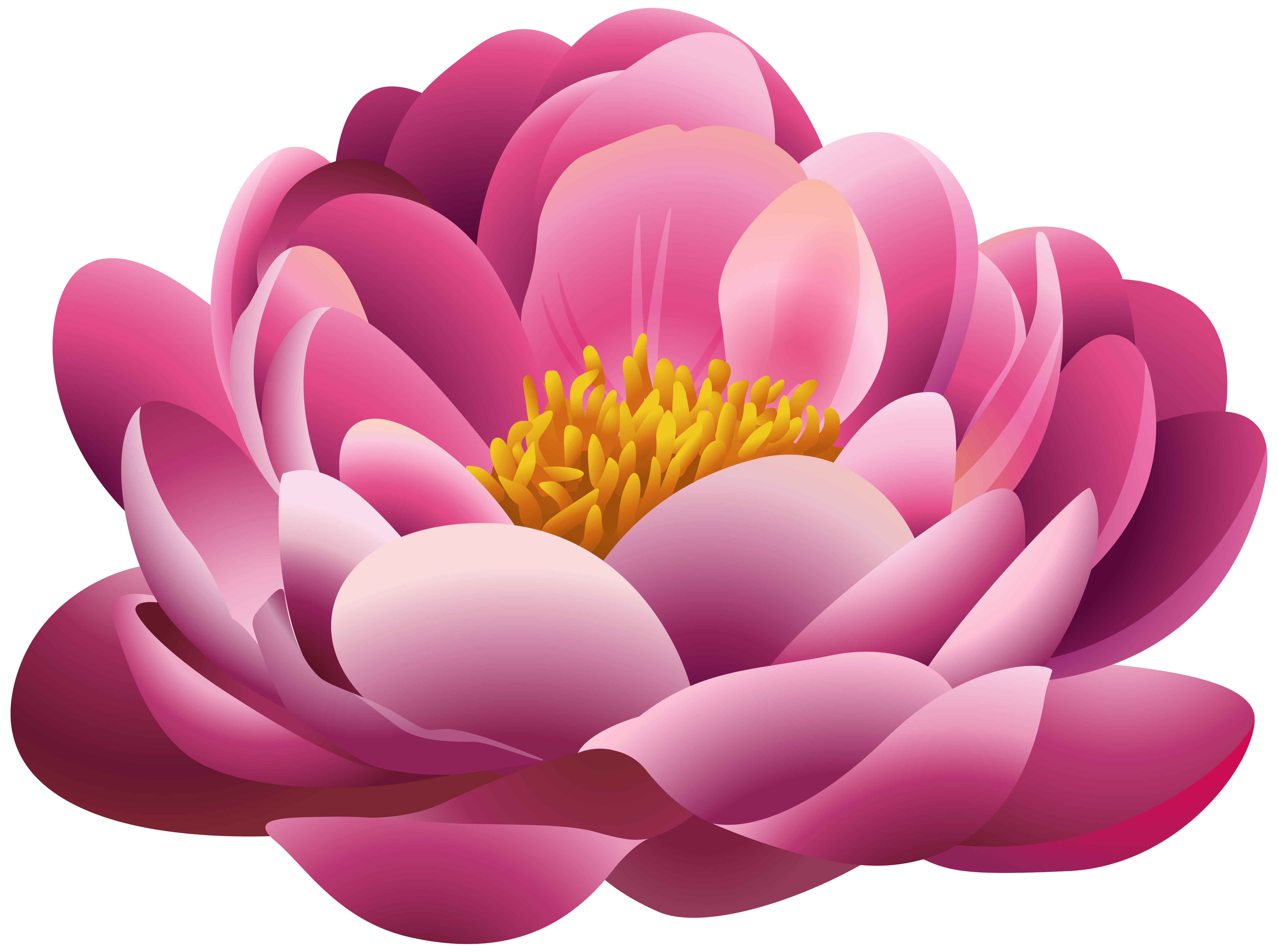 Beautiful Pink Flower PNG Clipart Image