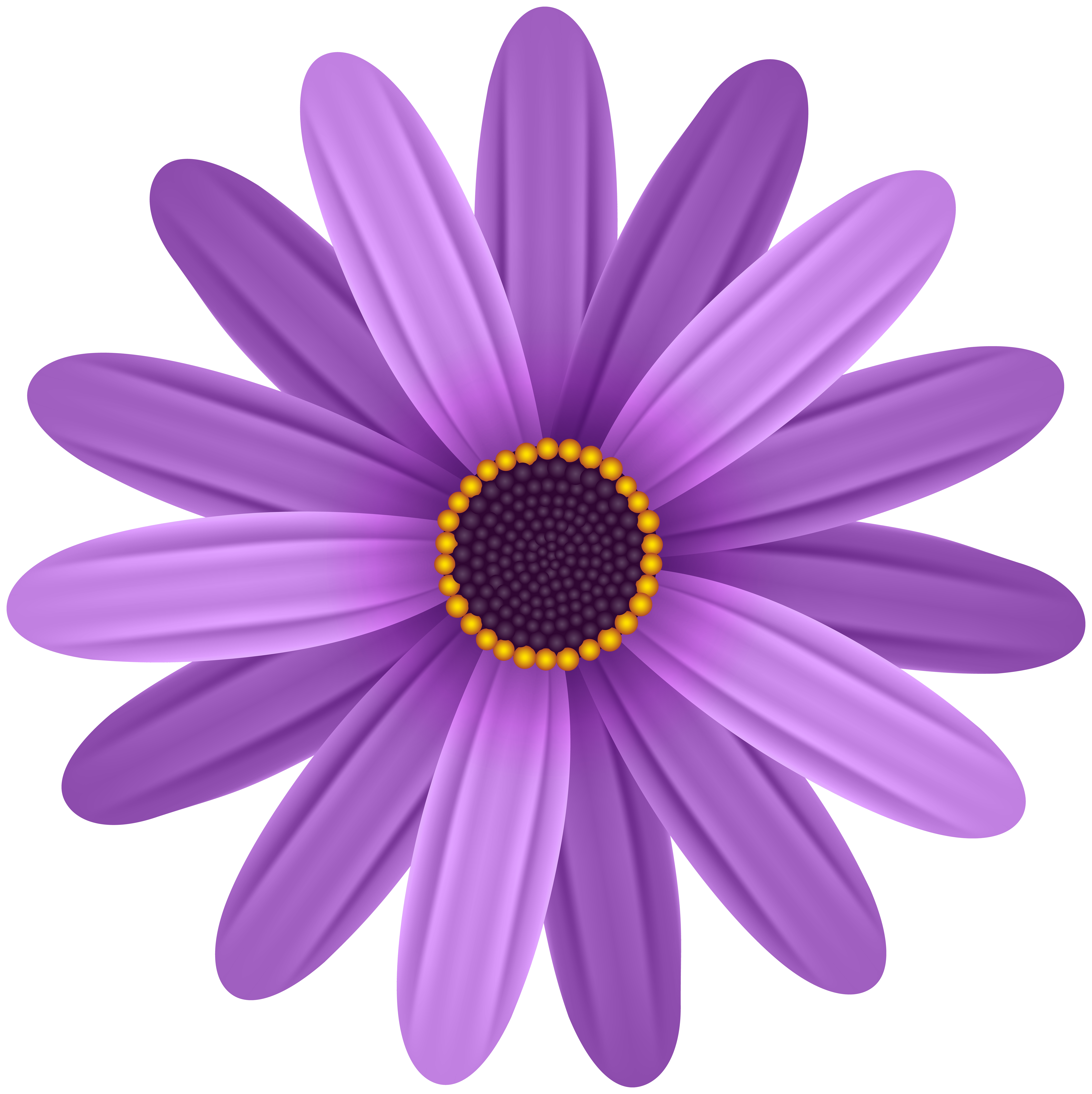 Purple Flower Transparent PNG Clip Art Image
