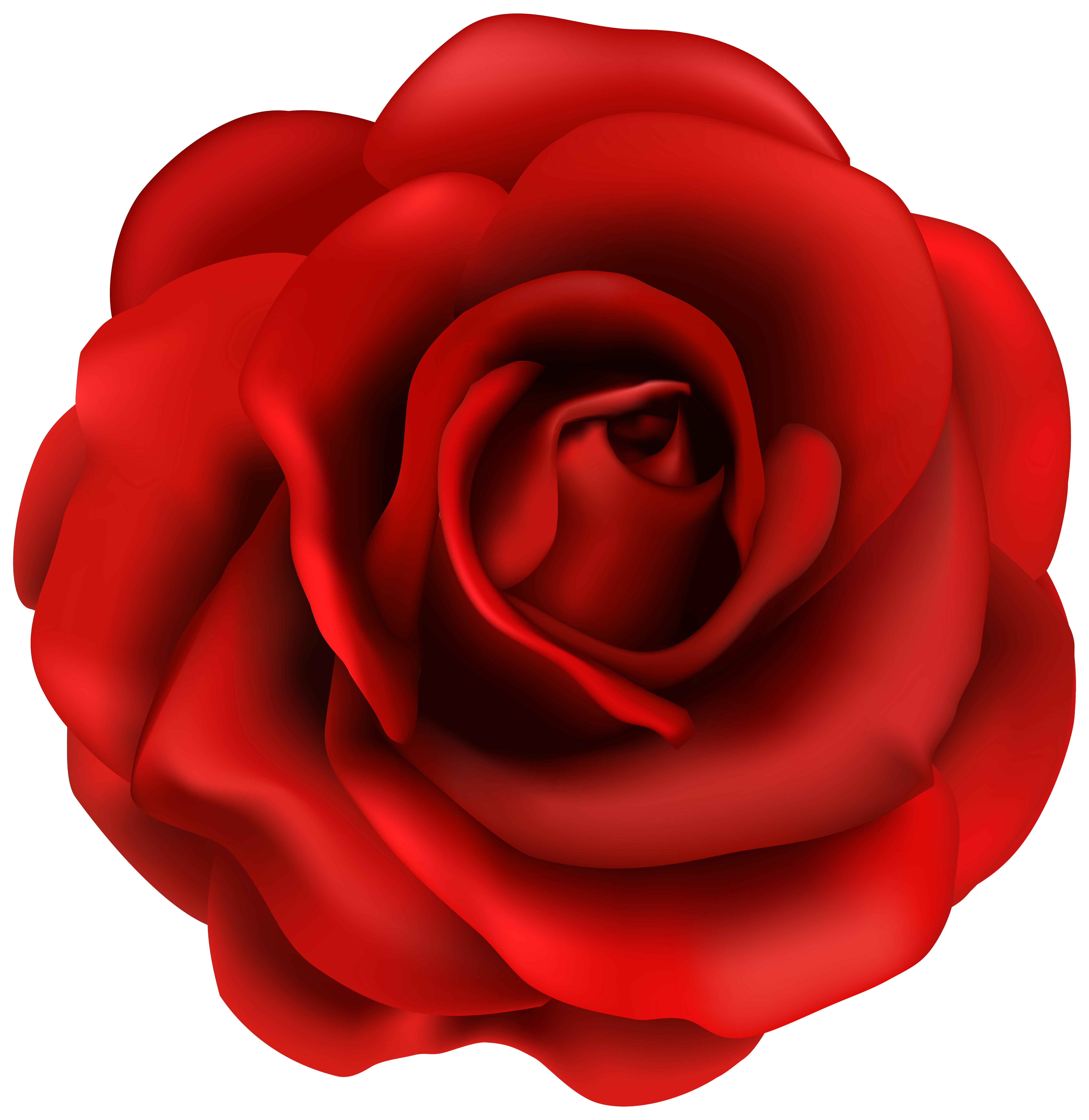 Red Rose Flower PNG Clipart Image