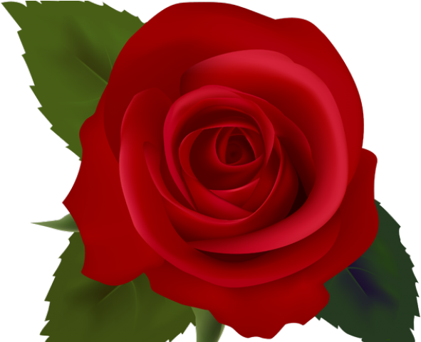 Red flower clipart.