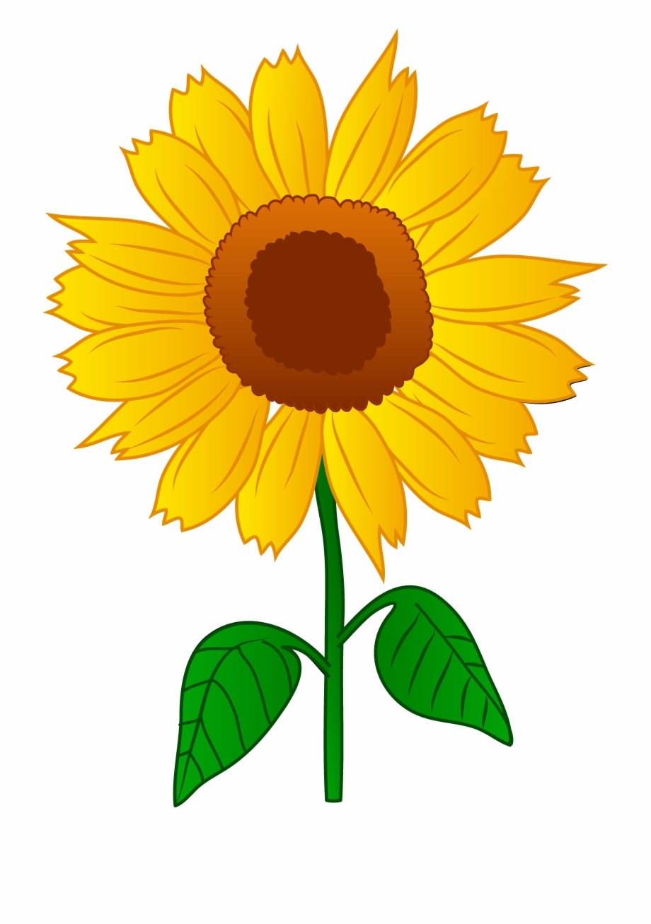 Sunflower Clip Art Free Clipart