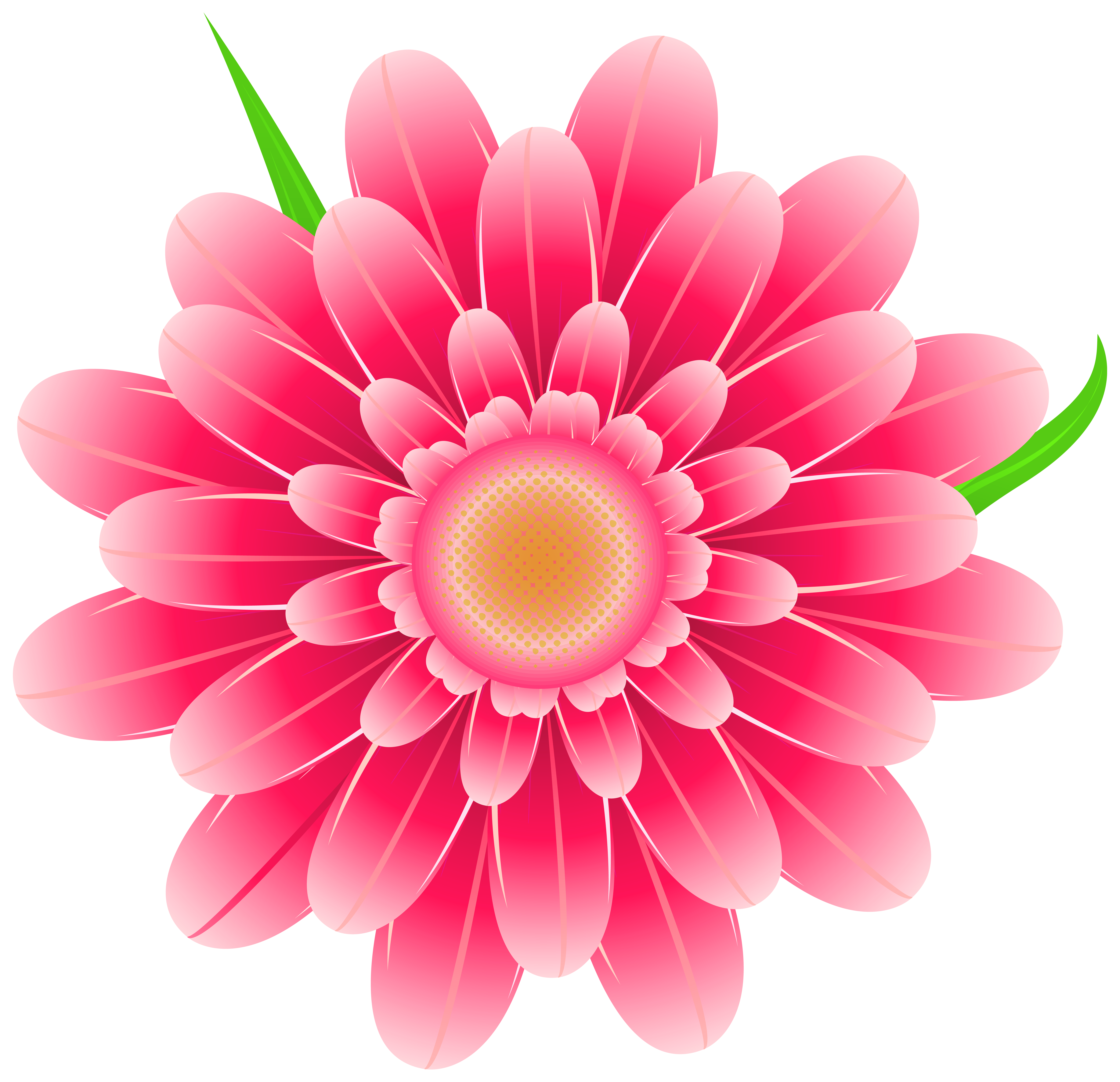 Transparent pink flower.