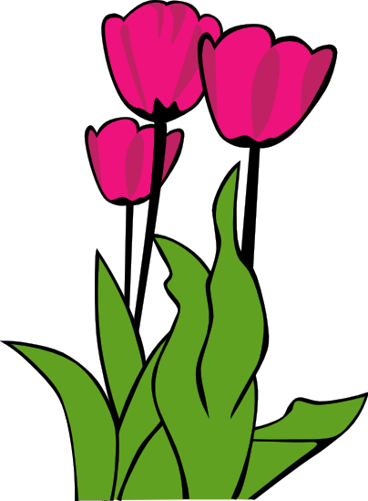 Tulip flower clip.