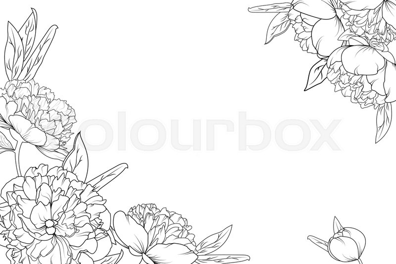 Flower outline clipart border pictures on Cliparts Pub 2020! 🔝