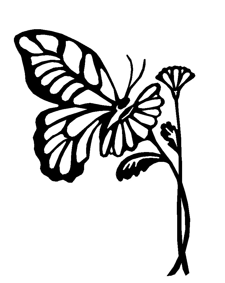 Free Outlines Of Butterflies, Download Free Clip Art, Free